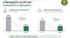 «Инструктаж, обучение и проверка знаний — единое целое в охране труда: опыт Недели нулевого травматизма»